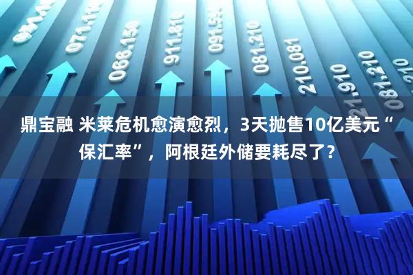 鼎宝融 米莱危机愈演愈烈，3天抛售10亿美元“保汇率”，阿根廷外储要耗尽了？