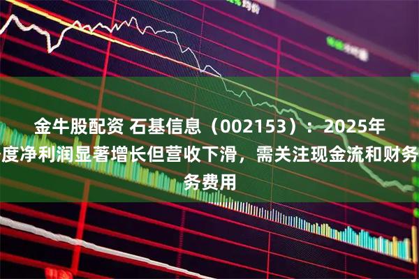 金牛股配资 石基信息（002153）：2025年一季度净利润显著增长但营收下滑，需关注现金流和财务费用