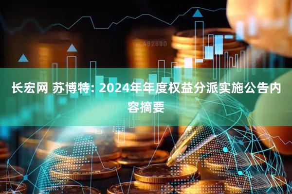 长宏网 苏博特: 2024年年度权益分派实施公告内容摘要