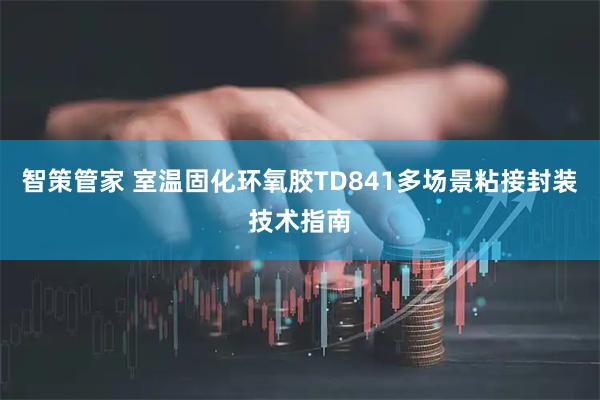 智策管家 室温固化环氧胶TD841多场景粘接封装技术指南